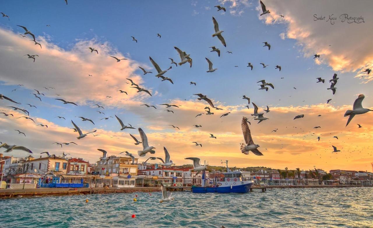 Hotel Sobe Ayvalı Kültér fotó